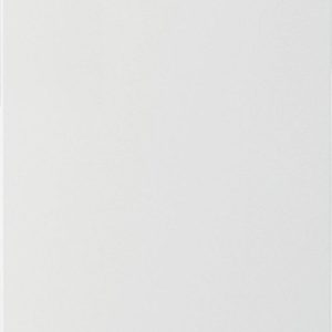Beko RSSA215K40WN review: ruime vrijstaande koelkast