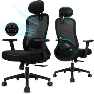 Durrafy® Bureaustoel review: lendensteun voor rugpijn, ergonomie