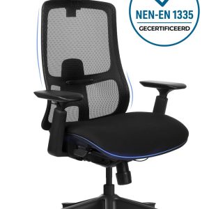 Ergonomische Bureaustoel review: lendensteun tegen rugpijn