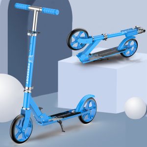 FOXSPORT Step review: opvouwbare step met draagkracht 150 kg