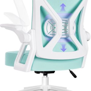 Hiaonyx Bureaustoel-Ergonomische bureaustoel-bureaustoelen voor volwassenen-Opklapbare armleuningen-Lendensteun-Verdikt en verbreed zitkussen-Blauwachtig wit review voor...