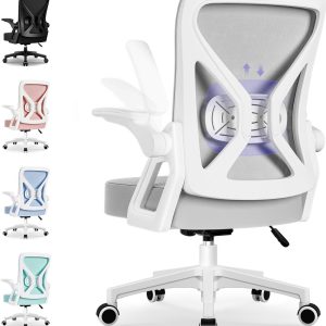 Hiaonyx Bureaustoel-Ergonomische review: lendensteun voor rugpijn