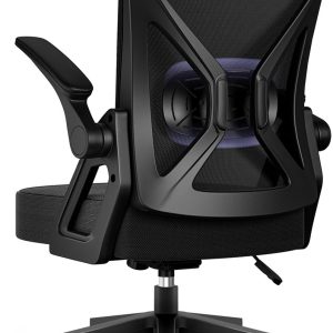 Hiaonyx Bureaustoel test: ergonomische lendensteun tegen rugpijn