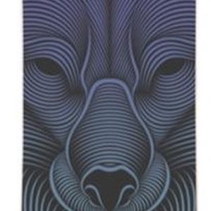 Landyachtz Drop Hammer 36,5" longboard night fox review downhill