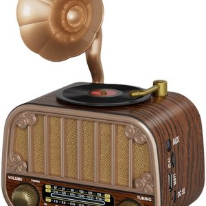 Vintage Draagbare Draadloze Radio review Bluetooth lange accu