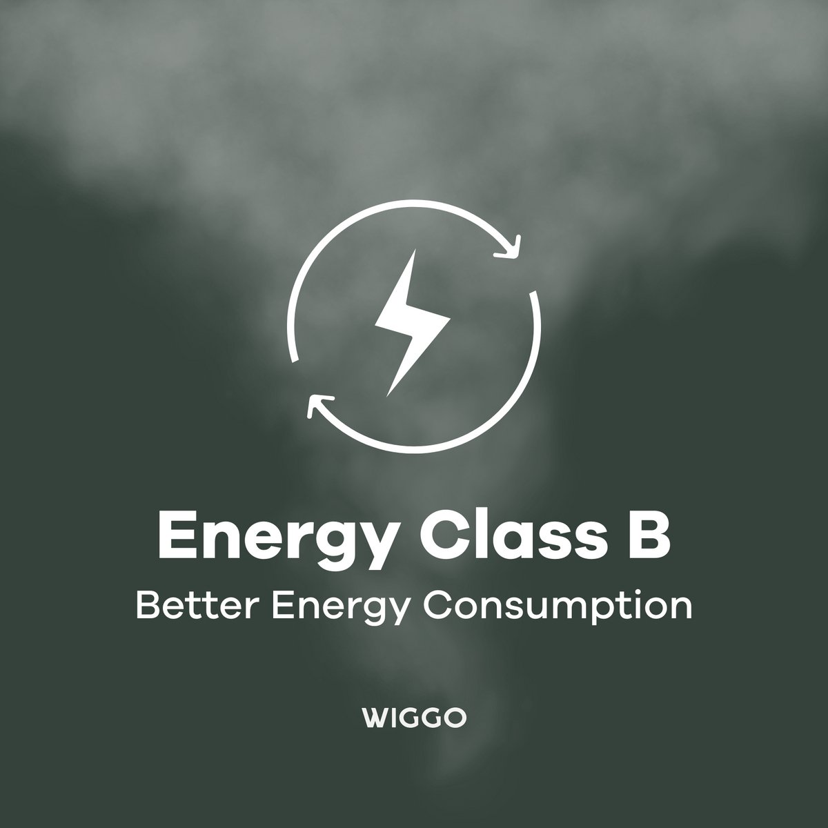 Wiggo WO‑E909R(BX) review: 90 cm gasfornuis met wokbrander