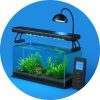 Aquariumverlichting