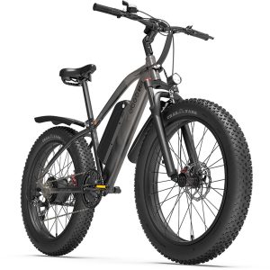 Elektrische fatbike review: 150 km bereik, 250W motor