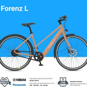 EZWLZ Elektrische Fiets Forenz L review: e-bike met 80 km bereik