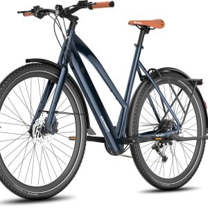 FAFREES Elektrische Fiets F700W test: e-bike met 100 km bereik