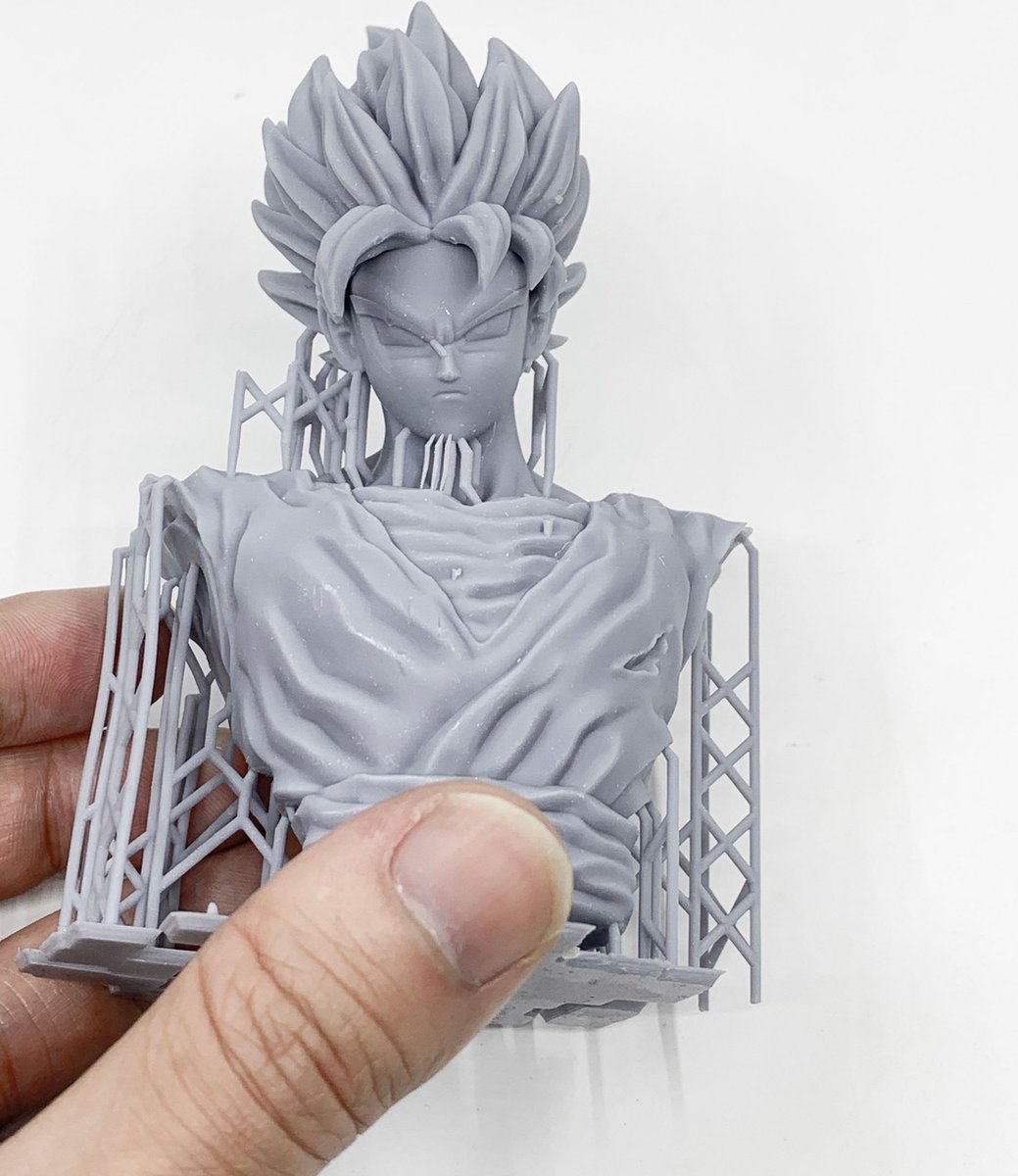 FlashForge - Foto 8.9 - SLA 3D-printer review snelle resin-prints