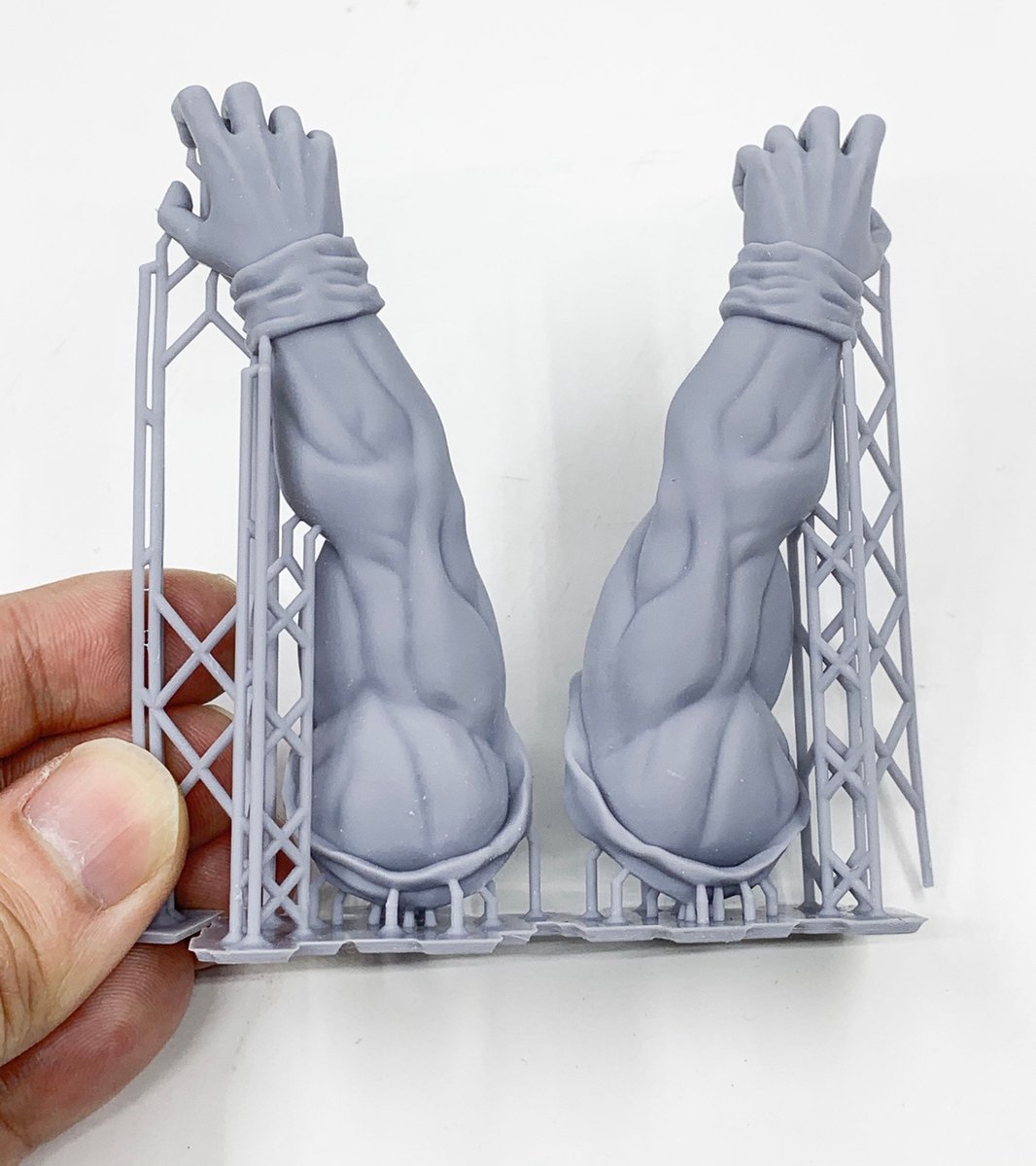 FlashForge - Foto 8.9 - SLA 3D-printer review snelle resin-prints