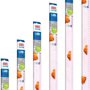Juwel Led Color review: levendiger kleuren, aquariumverlichting