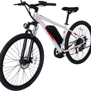 PVY M29 Elektrische Fiets review: actieradius 120 km