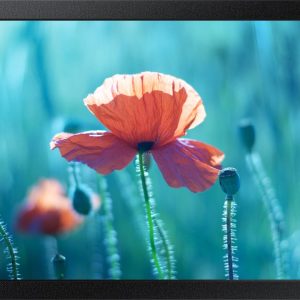 Samsung 13" Small Signage QBR-M review: compacte digital signage