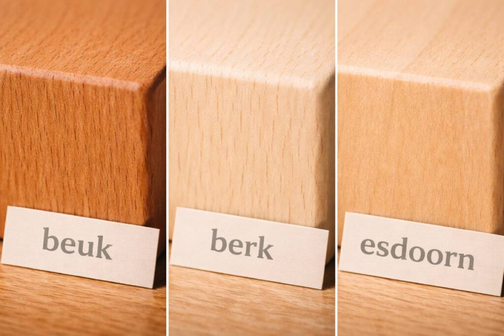 Beuk vs berk vs esdoorn — de kernverschillen (praktisch uitgelegd)