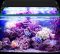 16W LED aquarium met timer schelpdieren decoratie waterdicht,45-60cm review aquariumverlichting
