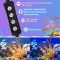 20W LED aquarium review: heldere aquariumverlichting met timer
