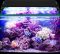 20W LED aquarium schelpdieren decoratie waterdicht met timer,75-90CM test energiezuinige aquariumverlichting