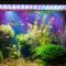36W LED aquarium met timer review: helder RGB aquariumverlichting