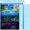 Aquariumverlichting RGB met controller review: dimbare LED