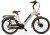 Avon Bx1 Elektrische Fiets 24 Inch review: e-bike, 90 km bereik
