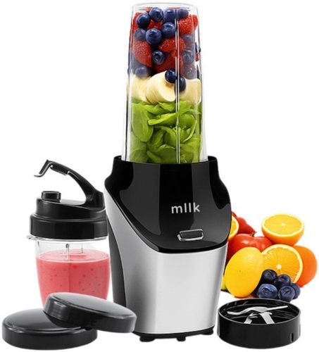 Blender To Go 1000 Watt Smoothie Maker 1 Liter test: ijs crushen