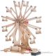 Bouwpakket Science Kit Elektrisch Reuzenrad- hout test voor STEM