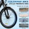 Colorway Elektrische Fiets BK18 review: IP54 waterdicht e-bike