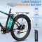Colorway Elektrische Fiets BK3MS review: afneembare accu e-bike