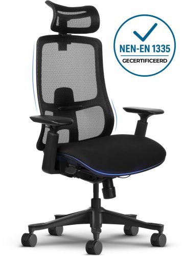 Ergonomische Bureaustoel review: lendensteun tegen rugpijn