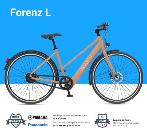 EZWLZ Elektrische Fiets Forenz L review: e-bike met 80 km bereik
