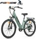 Foride Roamer 1 elektrische fiets met lage instap test: lange rit