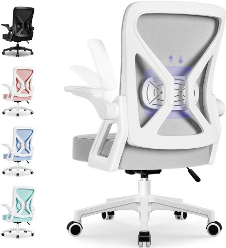 Hiaonyx Bureaustoel-Ergonomische review: lendensteun voor rugpijn