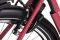 Hollandia Carry on 28” e-bike 3 versnellingen rood test: accuduur