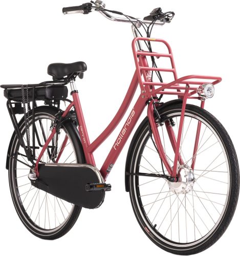 Hollandia Carry on 28” e-bike 3 versnellingen rood test: accuduur