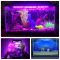 LED Aquarium Tauchlampe mit Fernbedienung review 24 kleuren RGB
