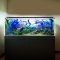 LED Aquariumverlichting review: dimbaar RGB, aquascaping
