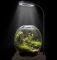LED-waterplantenlamp review: 10W aquariumverlichting met USB