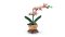 LEGO Botanicals Mini orchidee – 10343 test: onderhoudsvrij decor