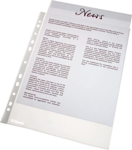 Review: Esselte A4 showtas PP (100) — perfect voor het thuiskantoor