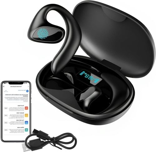 Tweeweg Realtime Vertaler Oordopjes review: realtime vertaling