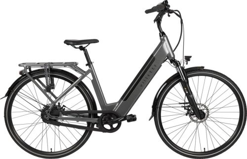 Villette L’ Amant Automatic dames e-bike 13Ah 2sp 28 inch Dark Grey review, lange accuduur