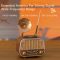 Vintage Draagbare Draadloze Radio review Bluetooth lange accu