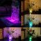 Waterdichte LED lampen review: IP68 RGB licht voor aquarium